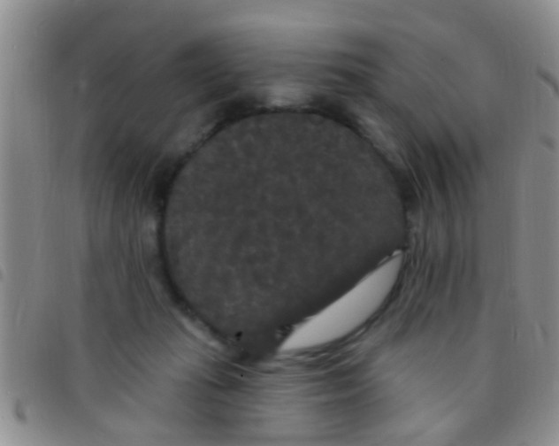 X0000097510269200803142048