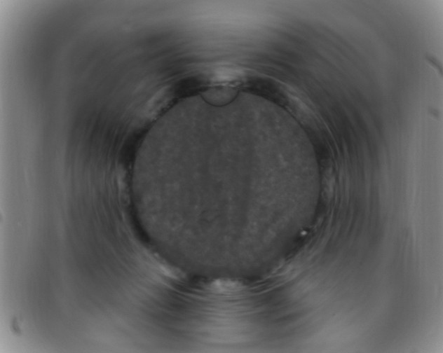 X0000097510270200803142048