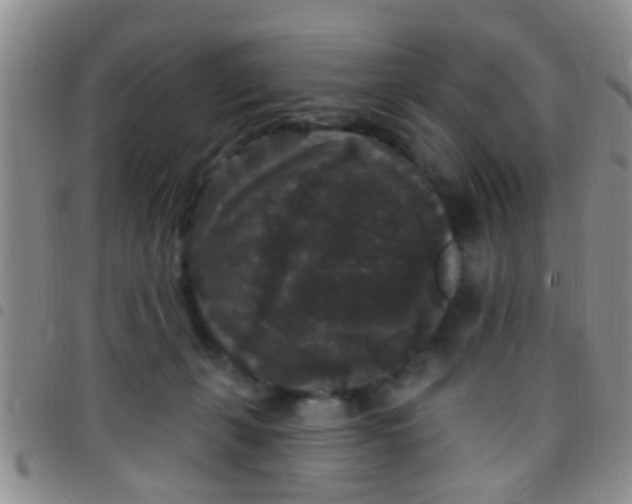 X0000097510271200803142048