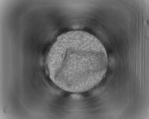 X0000097510272200803142048