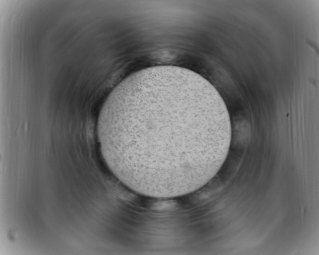 X0000097510274200803142048