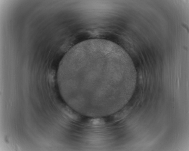 X0000097510275200803142048