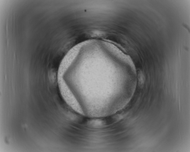 X0000097510276200803142048