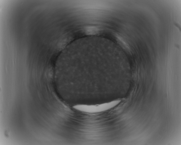 X0000097510277200803142048