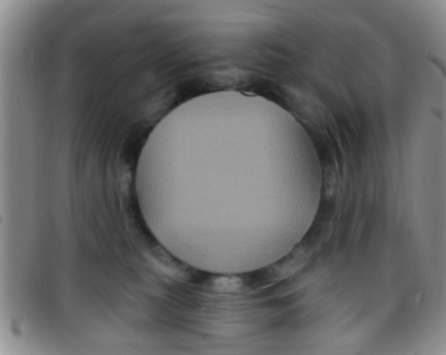 X0000097510279200803142048