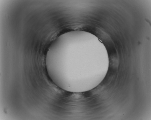 X0000097510280200803142048
