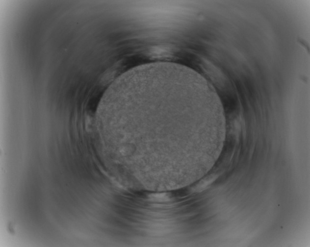 X0000097510281200803142048