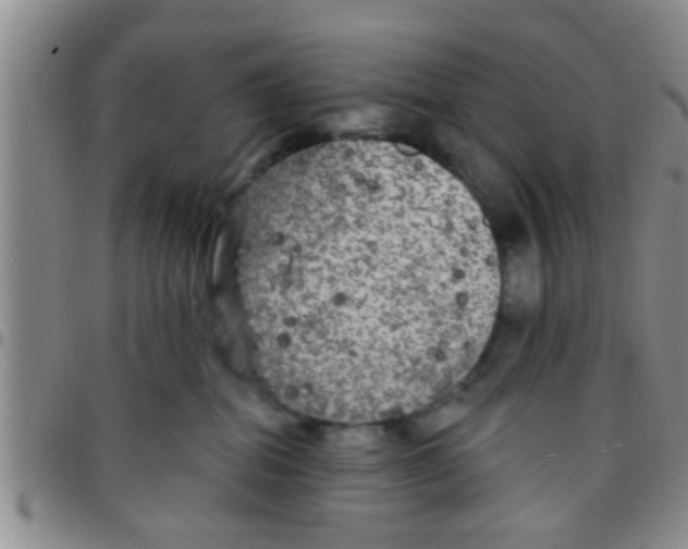 X0000097510282200803142048