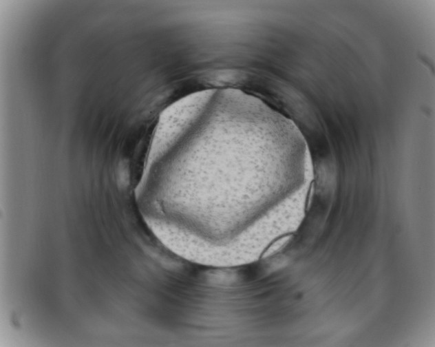 X0000097510284200803142048