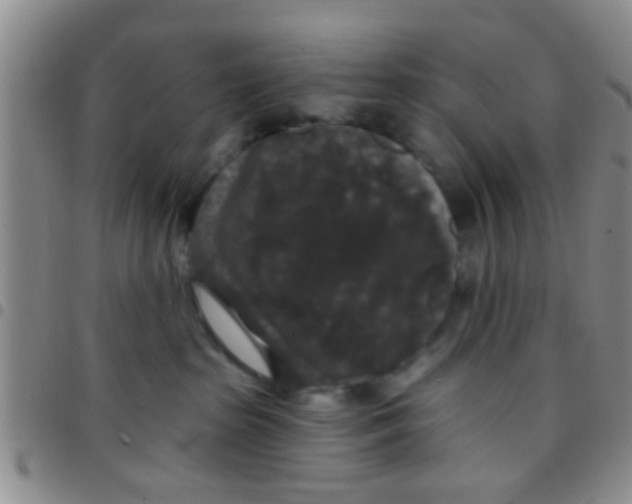 X0000097510285200803142048