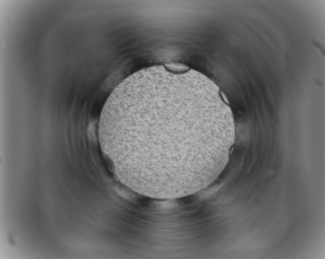 X0000097510286200803142048