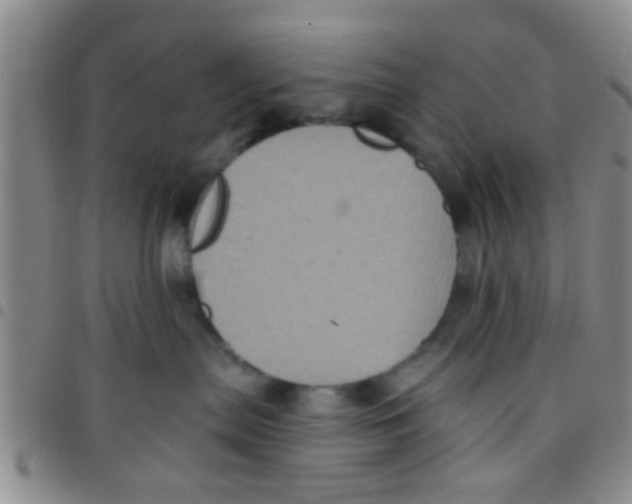 X0000097510287200803142048