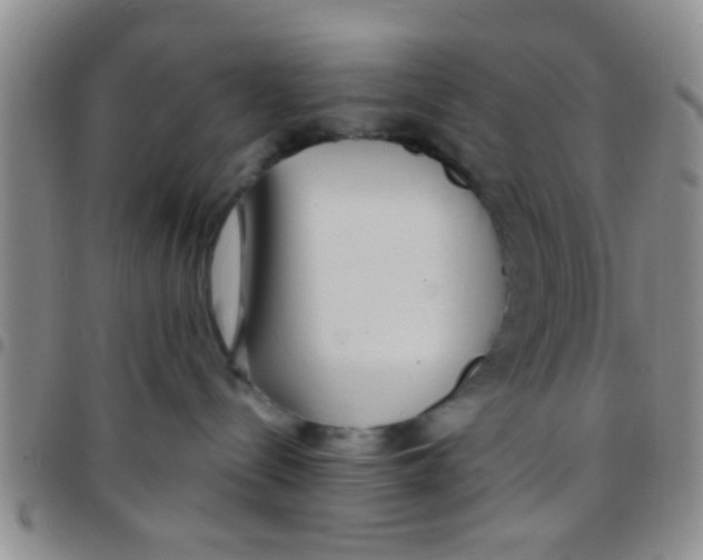X0000097510288200803142048
