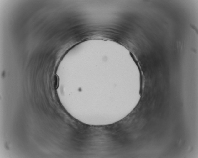 X0000097510289200803142047