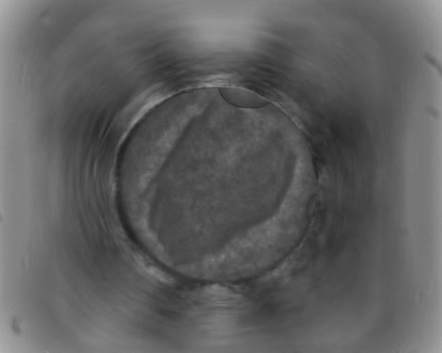 X0000097510290200803142047
