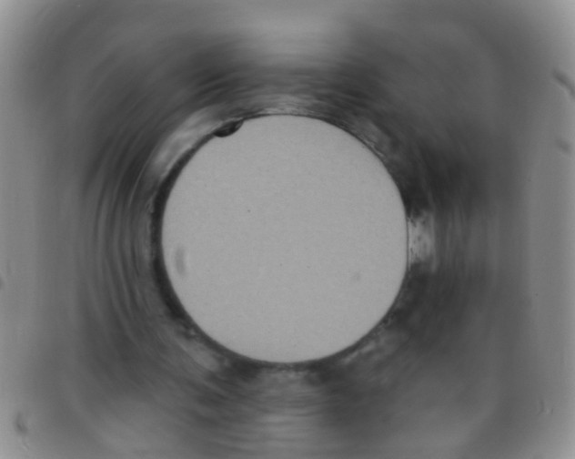 X0000097510291200803142047