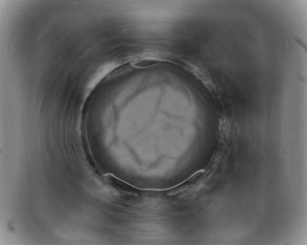 X0000097510292200803142047