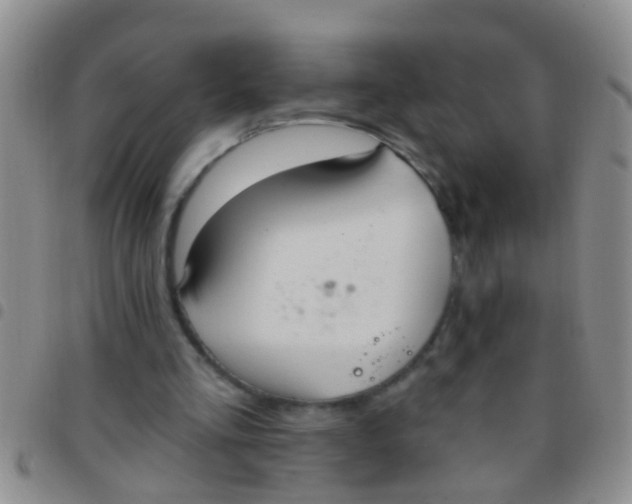 X0000097510293200803142047