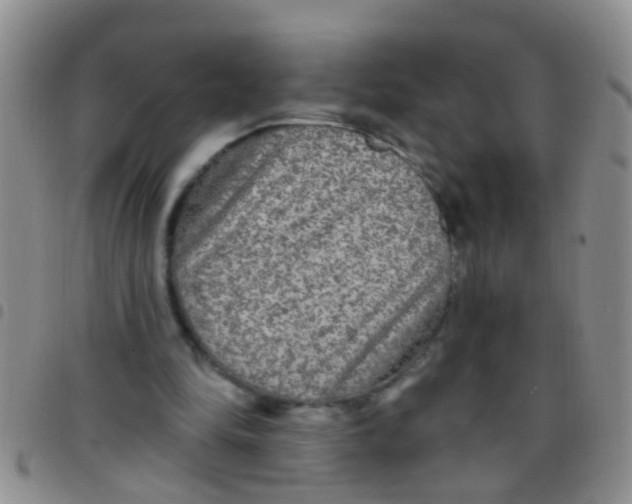 X0000097510294200803142047