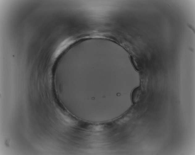 X0000097510295200803142047