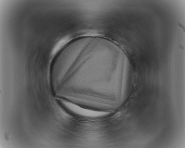 X0000097510296200803142047