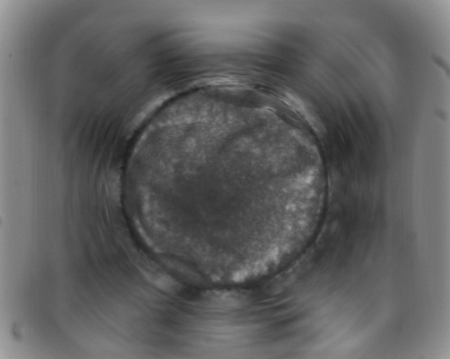 X0000097510297200803142047