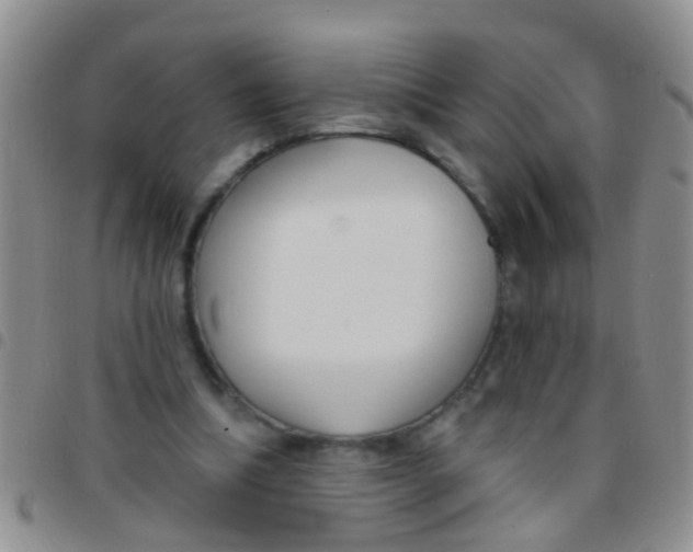 X0000097510298200803142047