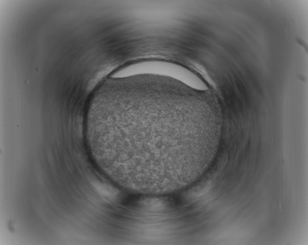 X0000097510299200803142047