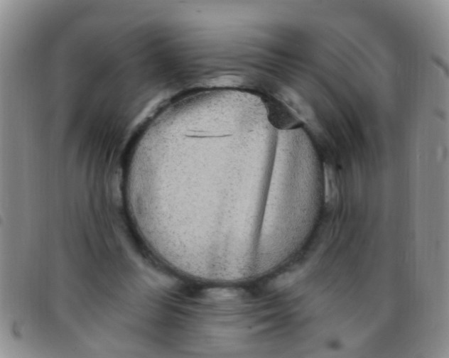X0000097510300200803142047
