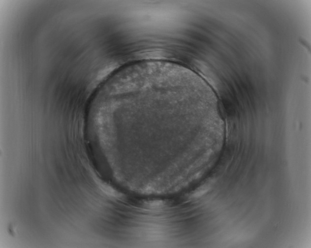 X0000097510301200803142047