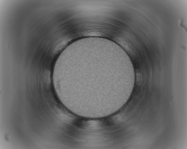 X0000097510302200803142047