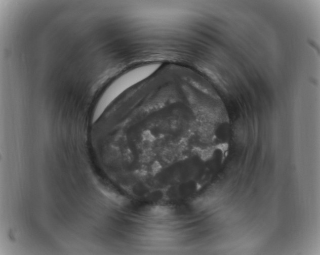 X0000097510303200803142047