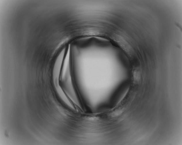 X0000097510304200803142047
