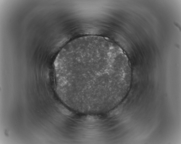 X0000097510305200803142047