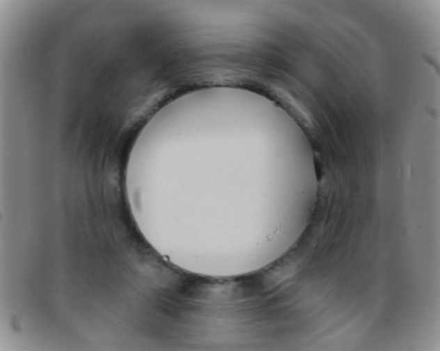 X0000097510306200803142047
