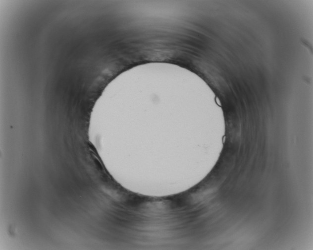 X0000097510307200803142047