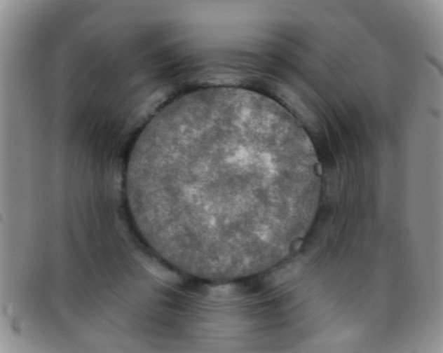 X0000097510309200803142047
