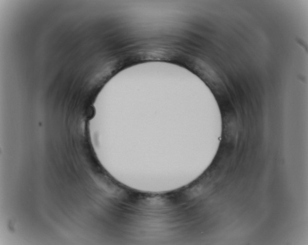 X0000097510310200803142047