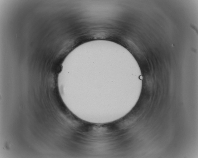 X0000097510311200803142047