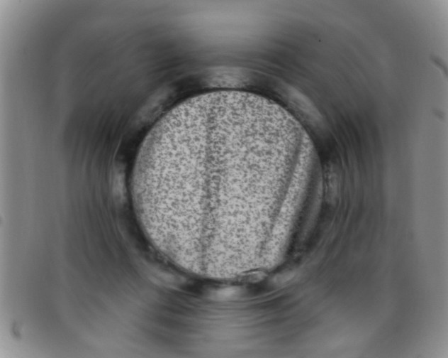 X0000097510312200803142047