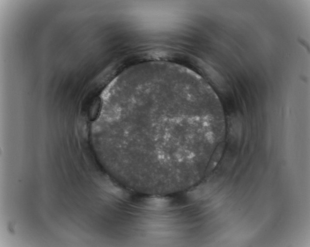 X0000097510313200803142047