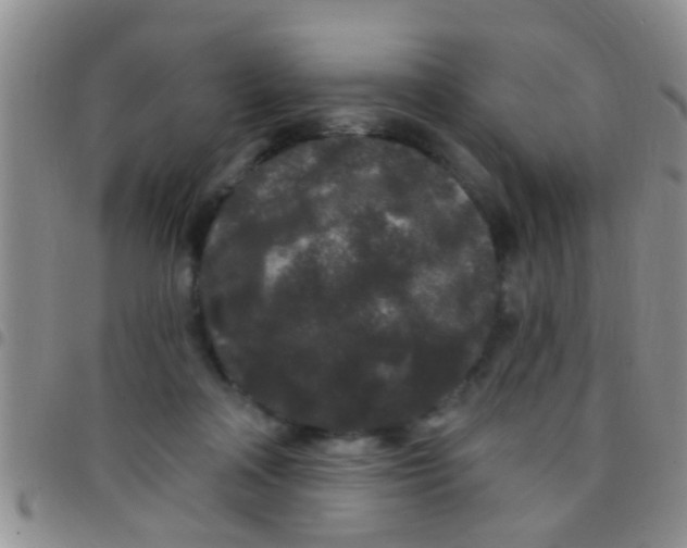 X0000097510314200803142047