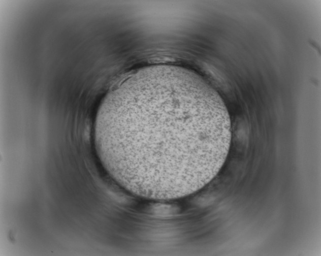 X0000097510315200803142047