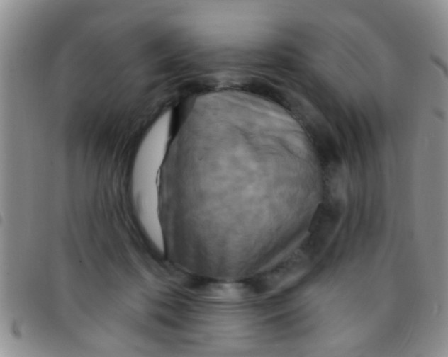 X0000097510316200803142047