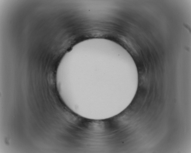 X0000097510317200803142047