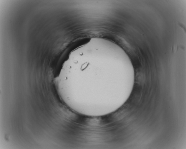 X0000097510318200803142047