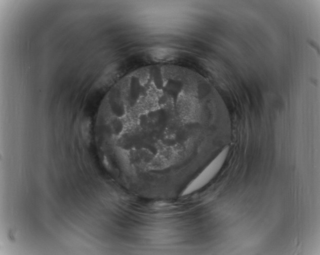 X0000097510319200803142047