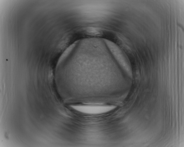 X0000097510320200803142047