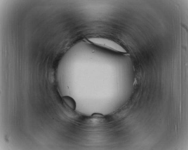 X0000097510323200803142047
