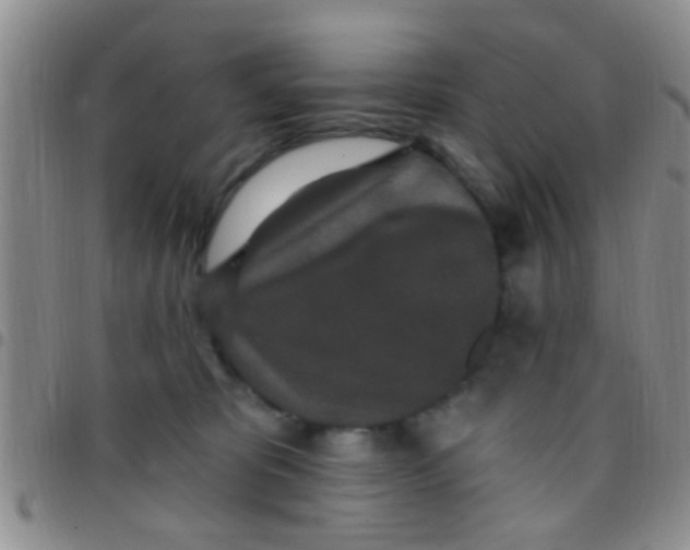 X0000097510325200803142047